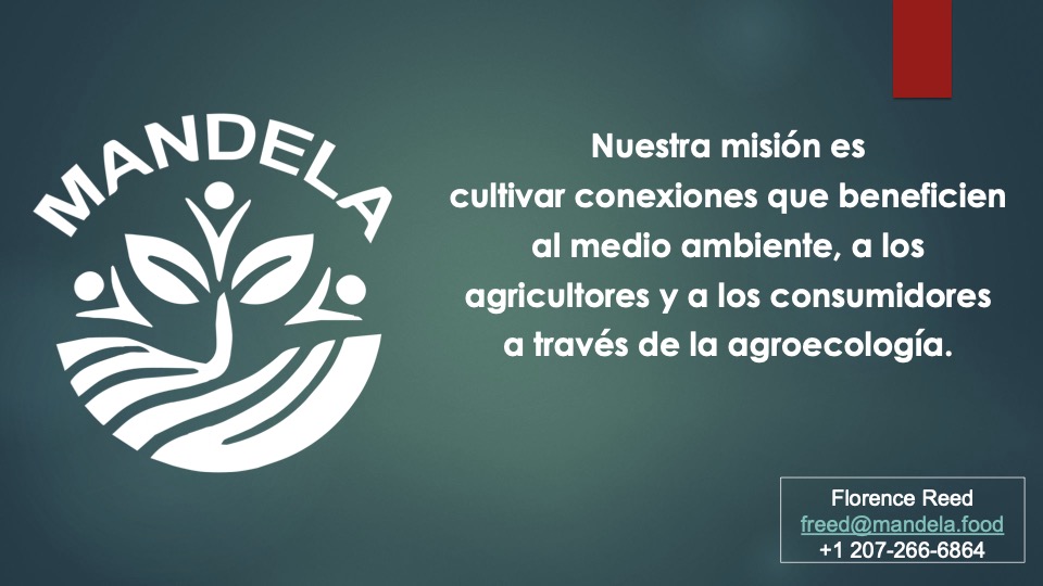 1 Mandela _pitch deck_ español