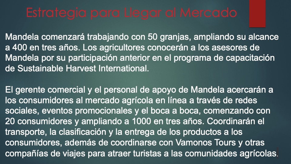 10 Mandela _pitch deck_ español