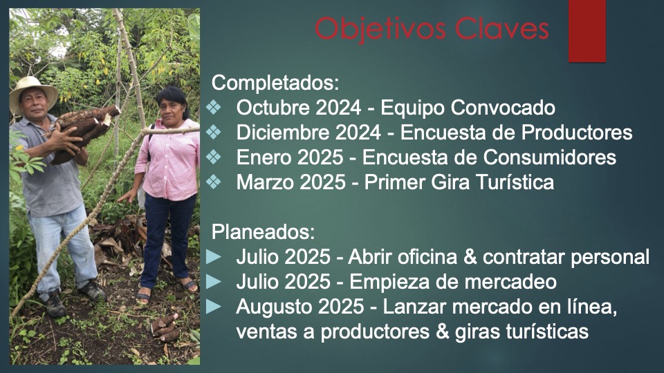 11 Mandela _pitch deck_ español