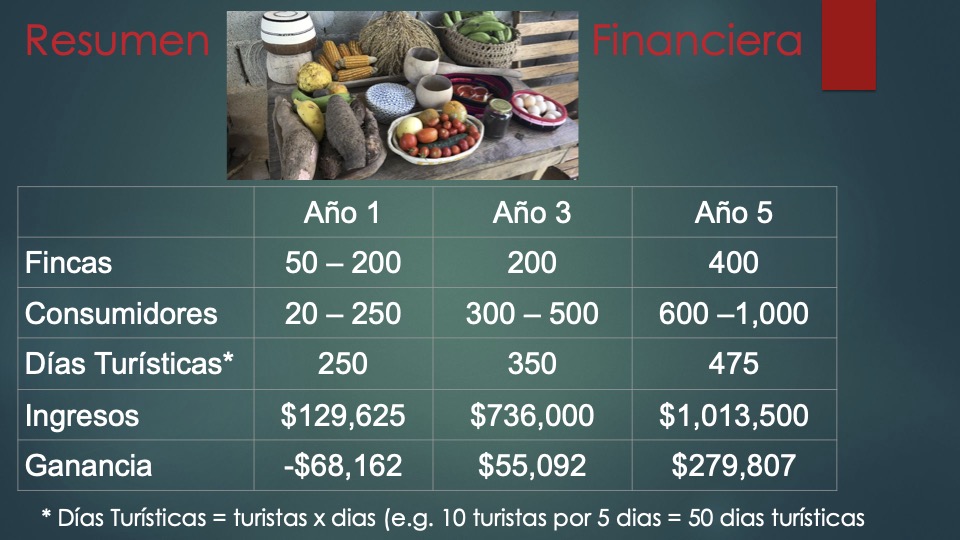 12 Mandela _pitch deck_ español