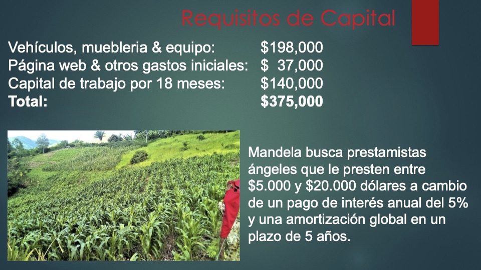 13 Mandela _pitch deck_ español