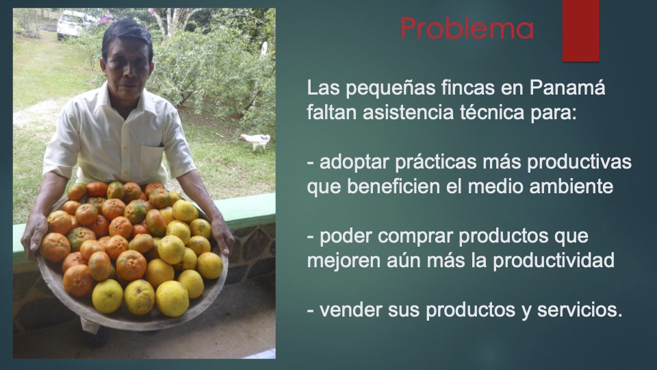 2 Mandela _pitch deck_ español