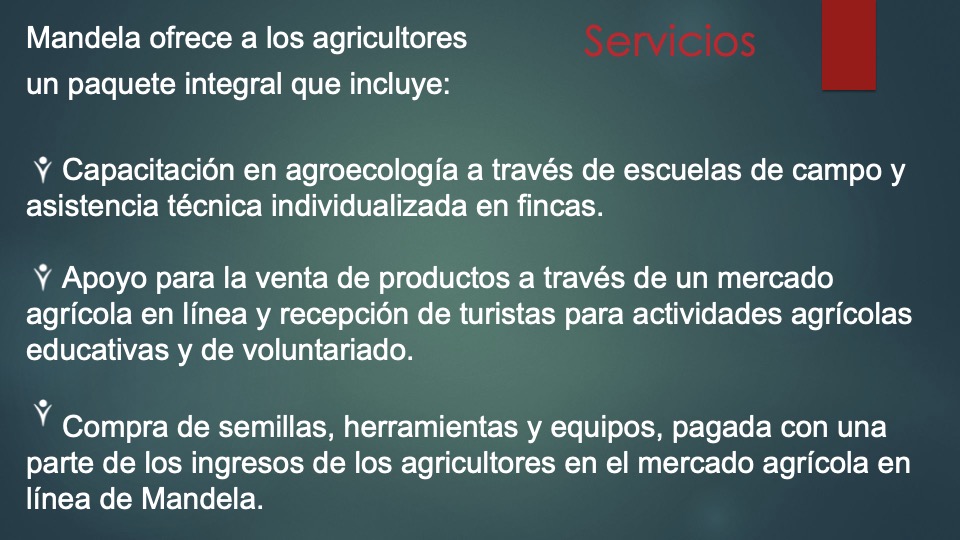 4 Mandela _pitch deck_ español