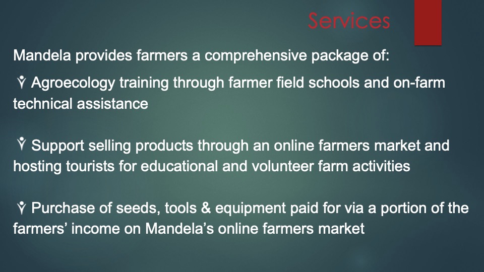 4 Mandela pitch deck