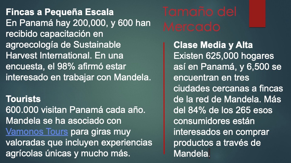 5 Mandela _pitch deck_ español