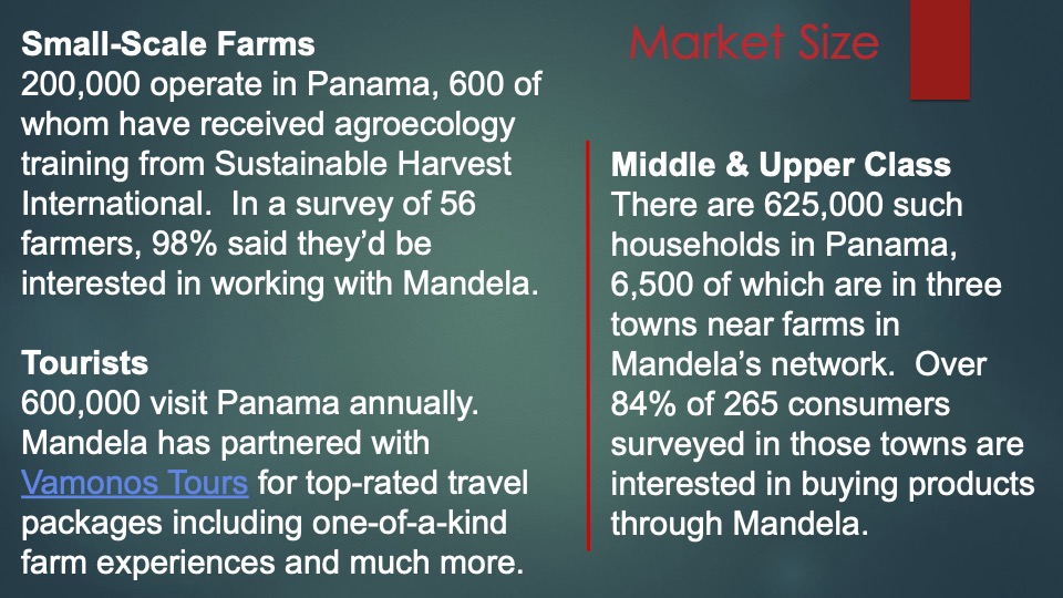 5 Mandela pitch deck