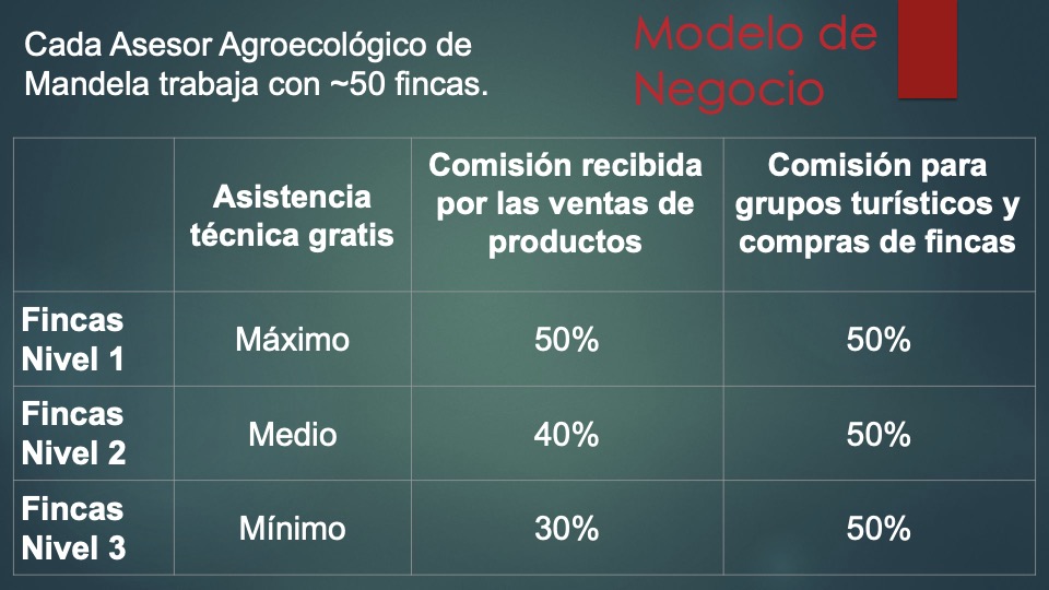 7 Mandela _pitch deck_ español