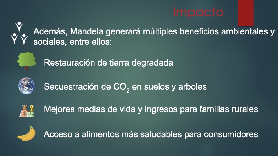 9 Mandela _pitch deck_ español